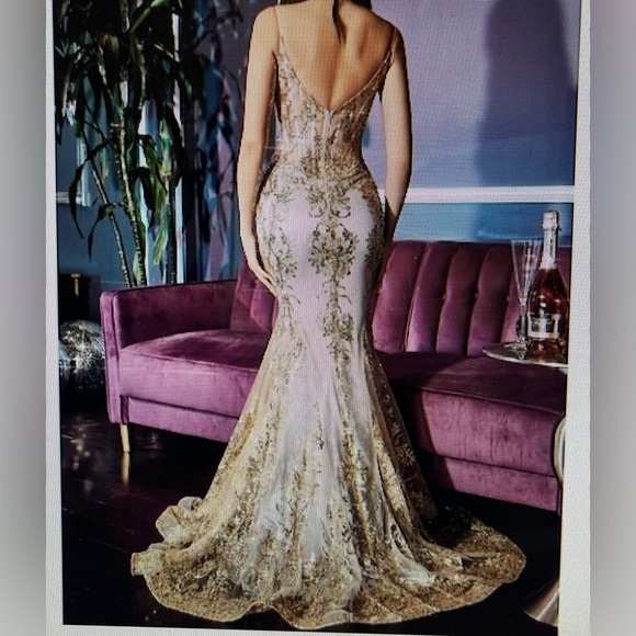 Cinderella Divine Gold Mist Gown - Picture 2 of 12